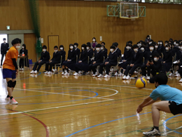 1Nw(2)11
